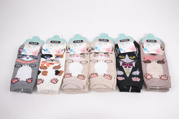 Жіночі шкарпетки з малюнком "COTTON" (SL008) | 12 пар