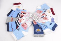 Дитячі шкарпетки на хлопчика ХЛОПОК (Арт. CA2016/0-8) | 12 пар