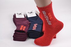 Жіночі шкарпетки "ЖИТОМИР" COTTON (Арт. AK835) | 12 пар