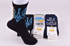 Шкарпетки жіночі "Житомир" бавовна (Арт. AK791) | 12 пар