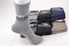 Шкарпетки чоловічі "Фенна" Собача Шерсть (Арт. FEA621-1) | 12 пар