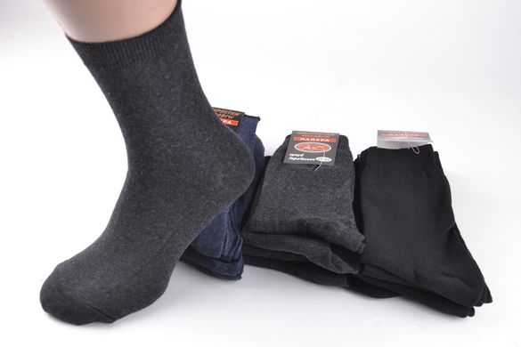 Чоловічі шкарпетки "Житомир" (Арт. OK050/25-27) | 12 пар