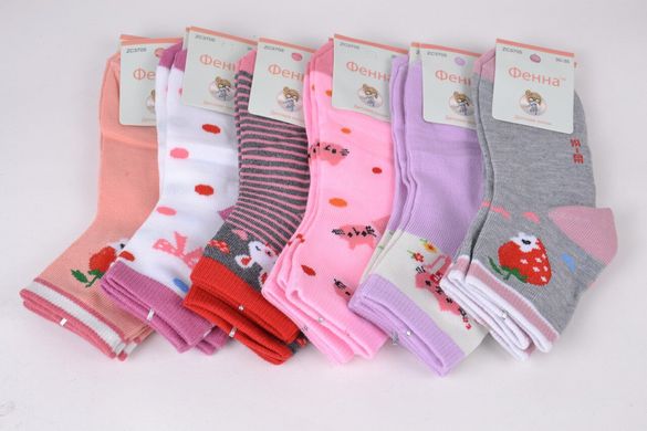 Дитячі шкарпетки на дівчинку "Фенна" ХЛОПОК (FEC3705/20-25) | 12 пар