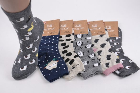 Жіночі шкарпетки з малюнком "Cotton" (Арт. NZP5007/35-38) | 5 пар
