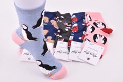 Шкарпетки жіночі з малюнком "AURA" COTTON (Арт. NZP7707/35-38) | 5 пар