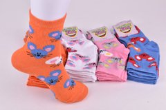 Шкарпетки дитячі на дівчинку "Житомир" бавовна (Арт. ME34106/18-20) | 12 пар