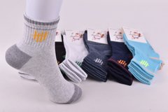 Шкарпетки дитячі на хлопчика "Житомир" COTTON (Арт.AK560/20-22) | 12 пар