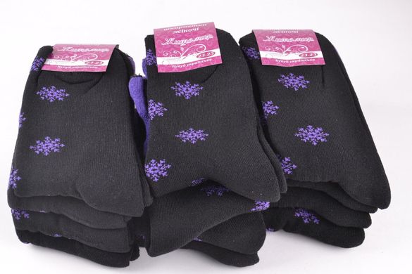 Жіночі шкарпетки "Житомир" МАХРА (арт. OK055) | 12 пар