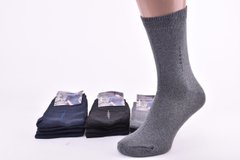 Шкарпетки чоловічі "JuJube" бавовна (Арт. F503-8) | 12 пар