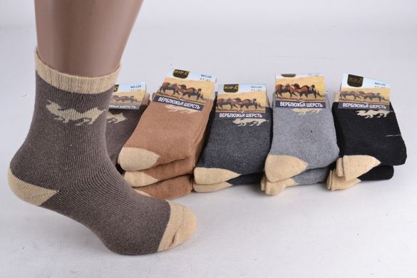 Шкарпетки Чоловічі Вовняні (Арт. FEL05) | 12 пар