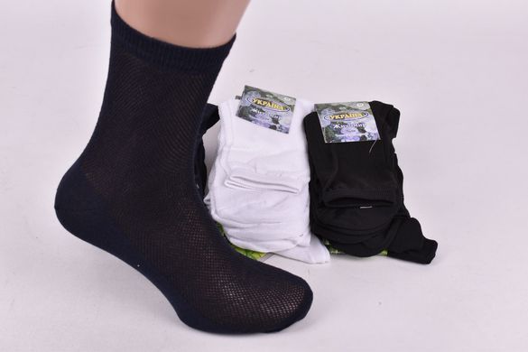 Носки мужские COTTON Сетка (Арт. OAM291-Mix/29) | 12 пар