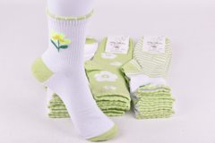 Шкарпетки жіночі "Житомир" бавовна (Арт. OAM266) | 12 пар