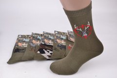 Шкарпетки чоловічі "AURA" Cotton (Арт. FE3758/43-46) | 5 пар