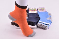 Шкарпетки дитячі на хлопчика "Житомир" бавовна (Арт. ME43101/20-22) | 12 пар