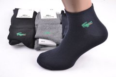 Чоловічі занижені шкарпетки "Lacoste" Cotton (Арт. Y525/2) | 12 пар