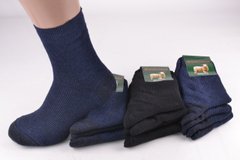 Чоловічі шкарпетки "Житомир" ШЕРСТЬ (арт. PT201) | 12 пар