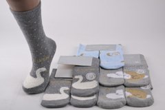 Жіночі шкарпетки з малюнком Махра "Cotton" (Арт. NPVX88) | 30 пар