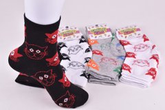 Шкарпетки дитячі на дівчинку "Житомир" бавовна (Арт. ME34103/20-22) | 12 пар