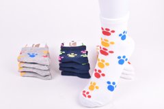 Шкарпетки жіночі з малюнком ХЛОПОК (Арт. Y428) | 12 пар