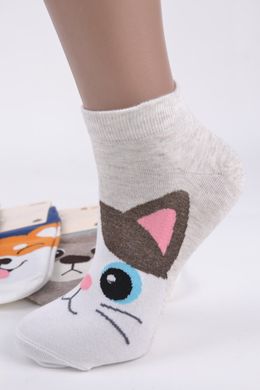 Жіночі шкарпетки "AURA" Cotton (Арт. NDP6083/35-38) | 5 пар