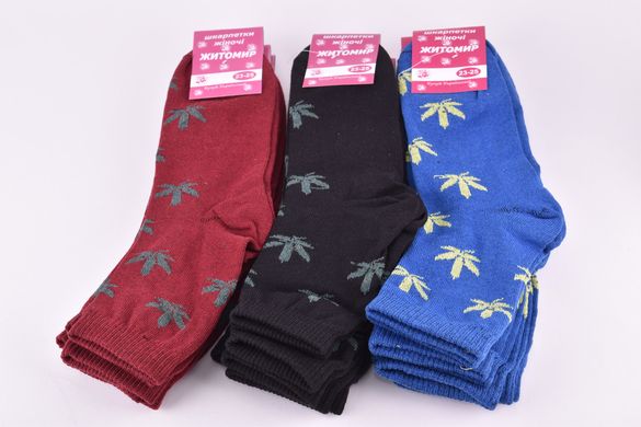 Жіночі шкарпетки "Житомир" ХЛОПОК (Арт. OK099/1) | 12 пар