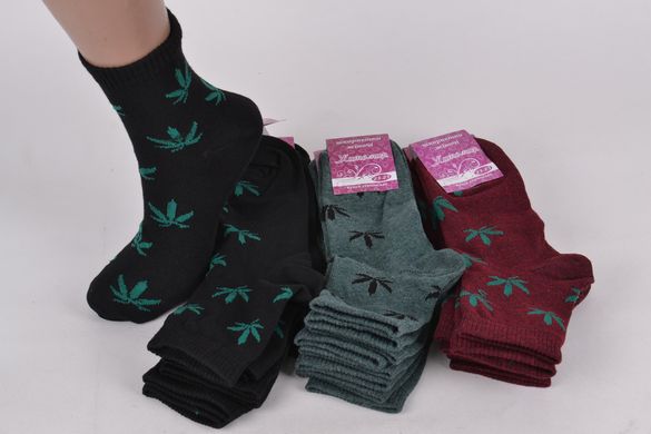 Жіночі шкарпетки "Житомир" ХЛОПОК (Арт. OK099/1) | 12 пар