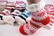Жіночі шкарпетки на хутрі з гальмами (Арт. B200-19) | 6 пар